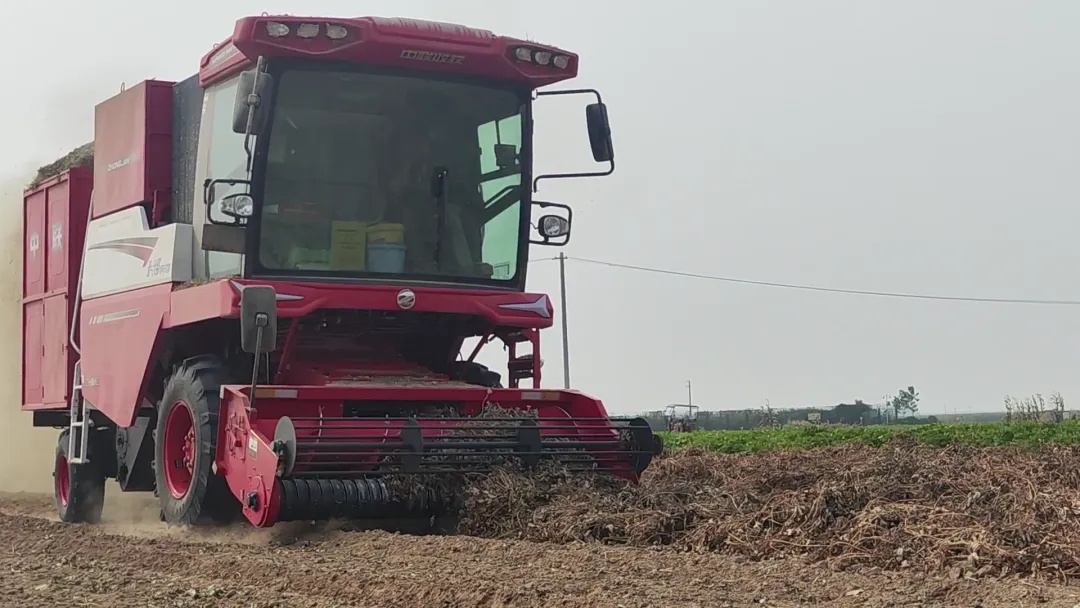 Master Han from Jiaozuo, Henan: High returns and excellent experience, when choosing a harvester, only choose Zoomlion.