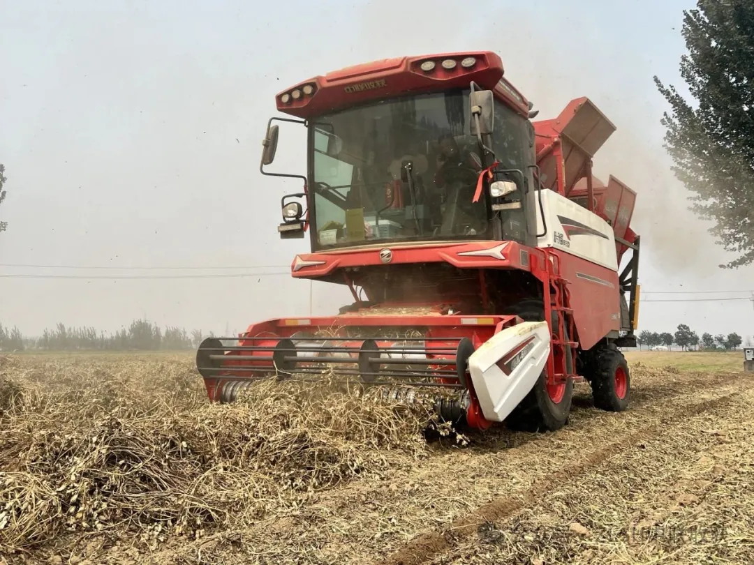 A farming machinery service couple: buying Zhonglian harvesters to operate across regions is much better than working outside!