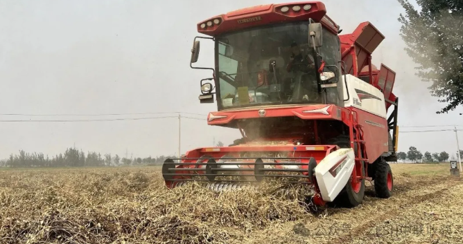 Fuxin Zhangwu Master Wu: A seasoned farmer mechanic goes newbie and reaps a bountiful harvest in the first season(图3) image.png